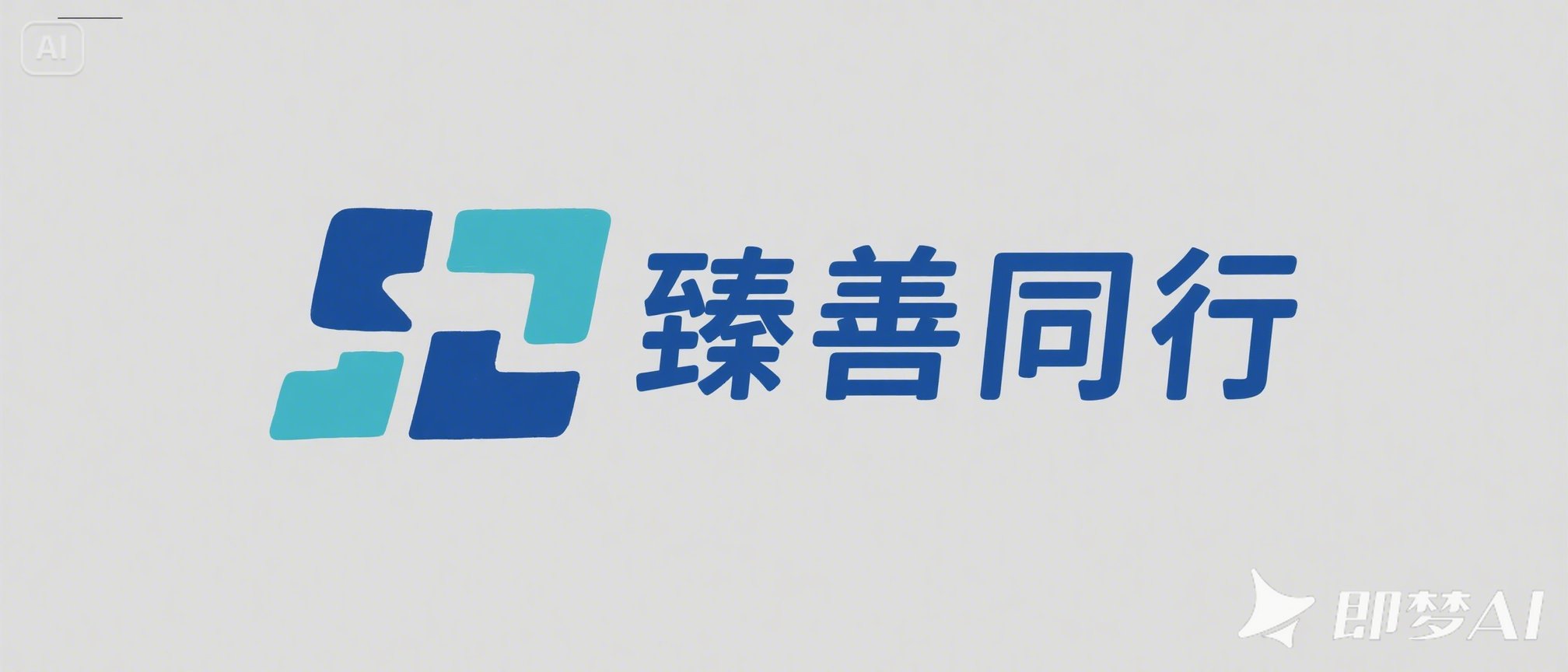 臻善同行